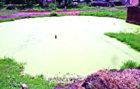 Diarrhea from contaminated water spread over Charb