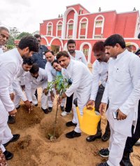 Plantation by Cm Akhilesh Yadav