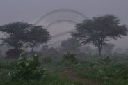 rain Barmer
