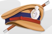 36 CI pramoted as DSP