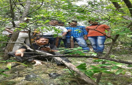 Bear shot hit team to kill