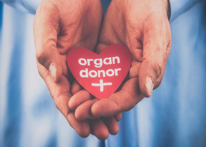 organ donate