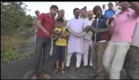 Python attacked on a man while taking selfie