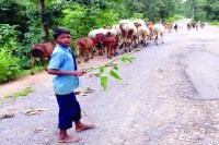 Rural areas child away from education