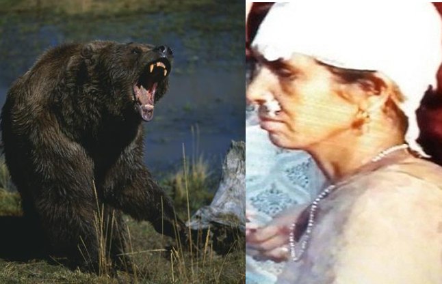 bear attack on woman