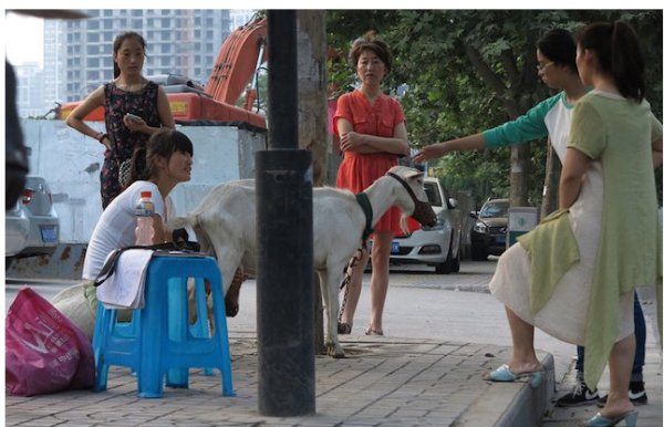 Sexy Milk Siter offers fresh milk on beijing Roads
