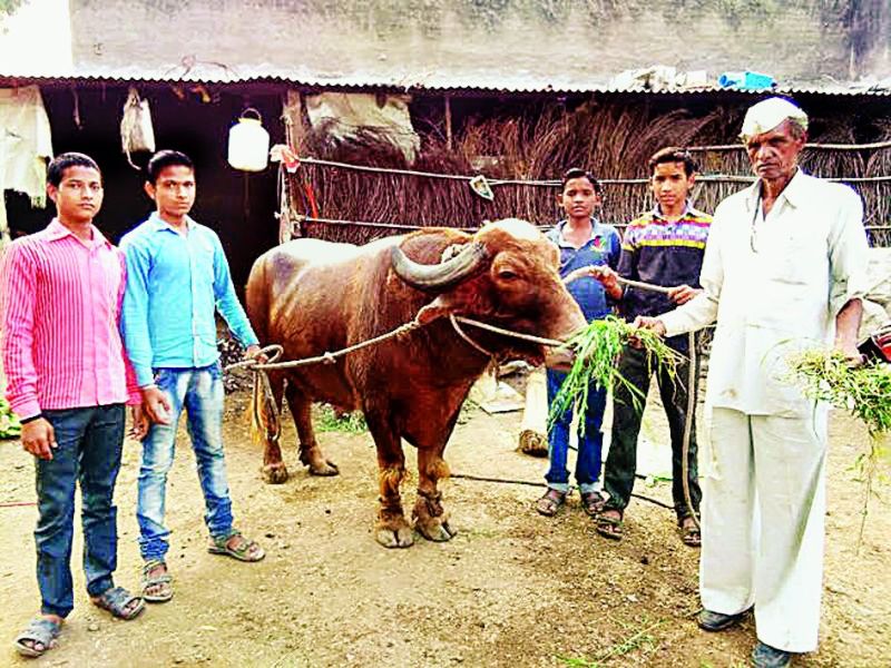 burhanpur,pada mukabla,pada ladai,madhya pradesh,b