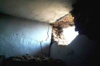 seven days after the same shop dent in