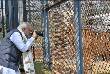 PM Modi clicking picture of a tiger