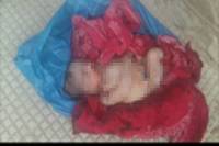 female new born found
