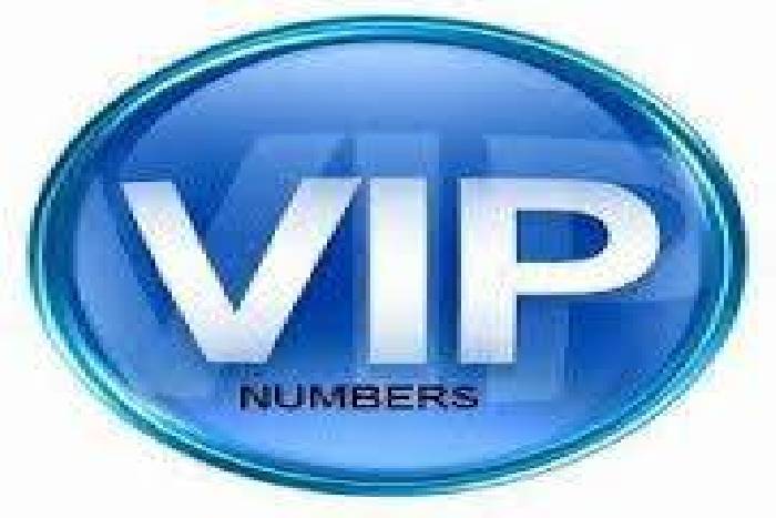 VIP numbers of youngsters moving in Tashan