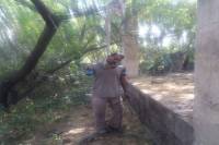 Man found hanging on tree