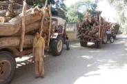 illigal business runing in rawatsar