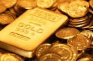 Stole 24 tola gold from Grandfather house and purc