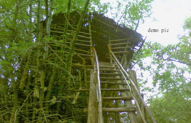 Jungle House
