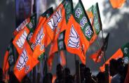 bjp flag