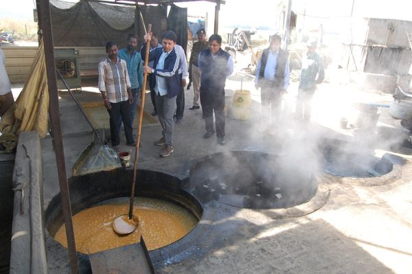 Collector learned how to make raw sugar or gud