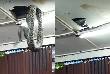 Giant Snake Drops From Ceiling In a Restaurant