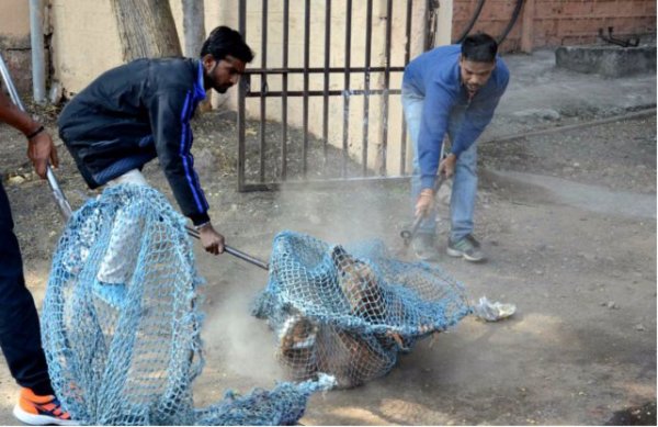 Moods from around the country in photos