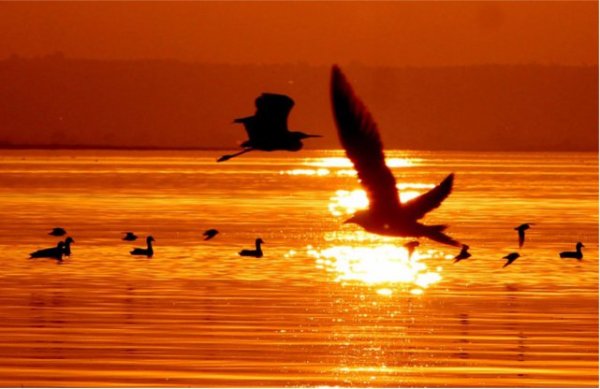 Moods from around the country in photos