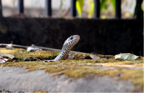 Life pics from around the country