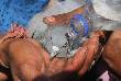People helps a pigeon who injuries from manja