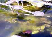 fountain