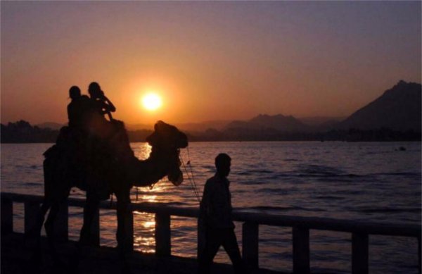 Life aspects from patrika photos