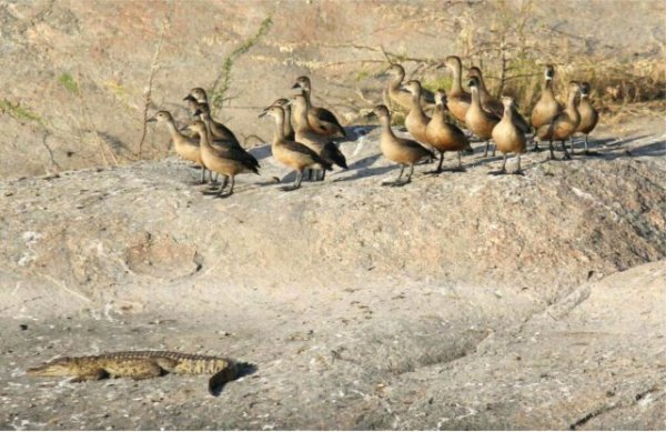 Nation pics of patrika of different moods