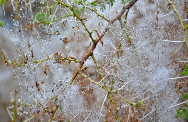 Nation pics of patrika of different moods