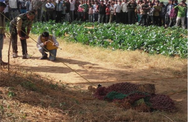 Panther gets in village caught later