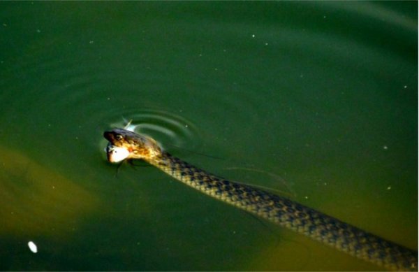 Photos showing different moods of life