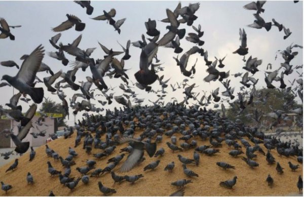 Pictures of India with different mood