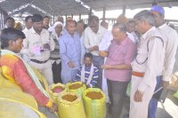 burhanpur cassless mandi Czech-five days after the