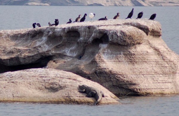 youthful pictures clicked by patrika photographer