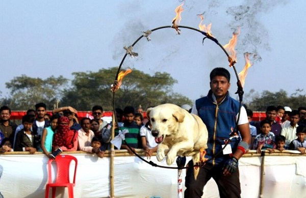 youthful pictures clicked by patrika photographer