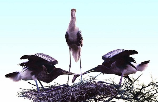 Different shades of life journey clicked by patrik