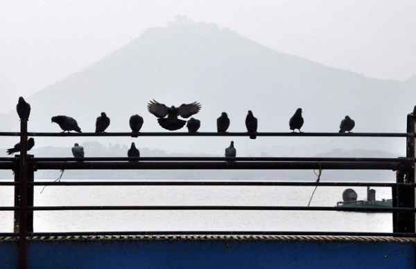 Different shades of life journey clicked by patrik