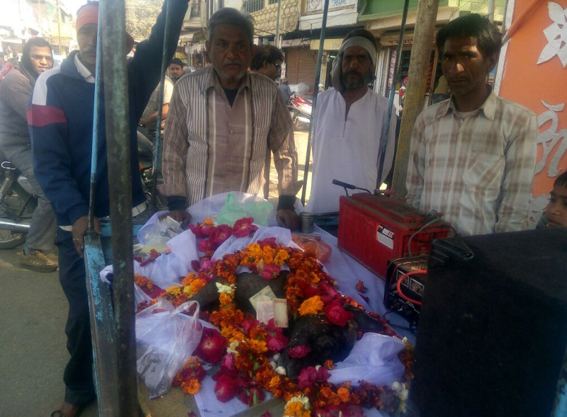 pet farewell, pet funeral, How to Conduct a Pet's