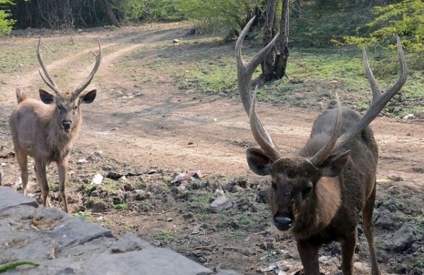 colourful pictures of diverse india