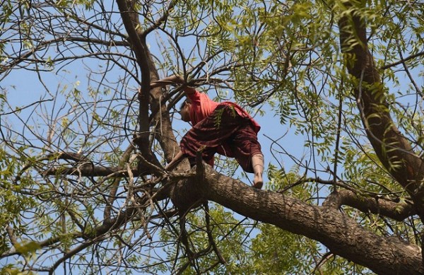colourful pictures of diverse india