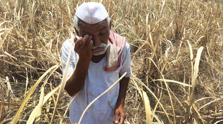 farmers suicide in India