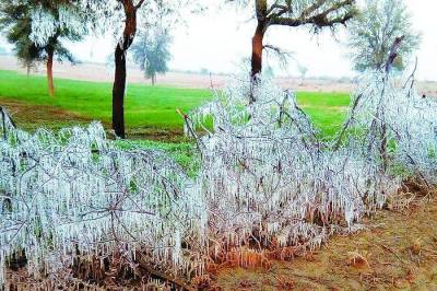 Short video poster image