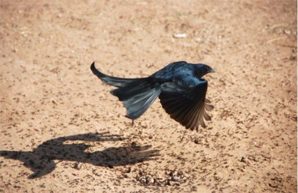 Pics of different mood from around the country