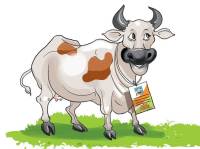 cow aadhar card