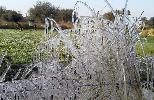 Lohri celebration and cold wave in india