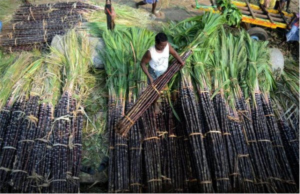 Lohri celebration and cold wave in india