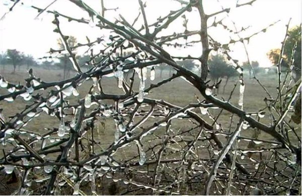 Lohri celebration and cold wave in india