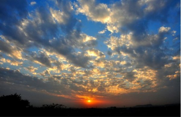 Makar sankranti celebrated in india