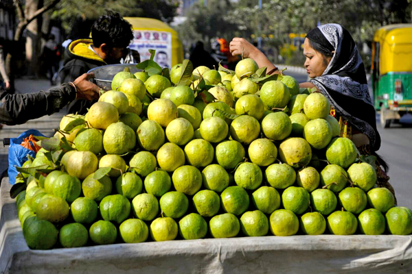 Unseen and exclusive pics of madhya pradesh